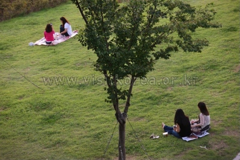Ttukseom Hangang Park (12/30)