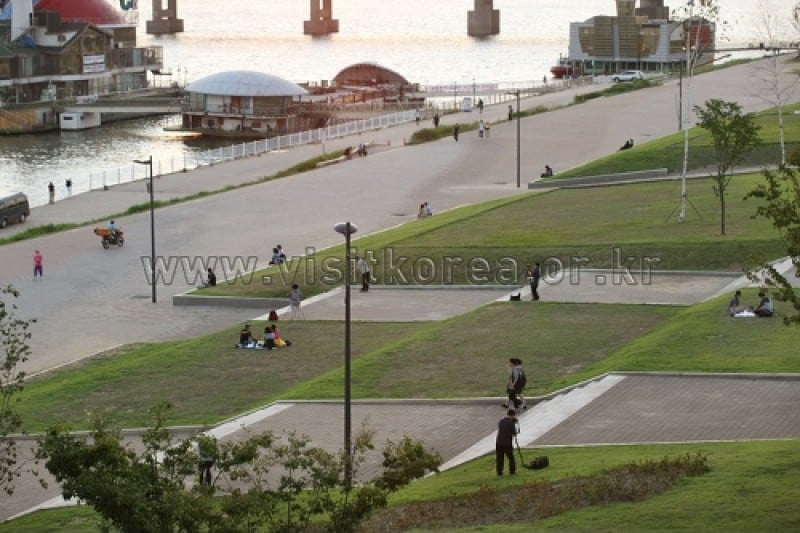Ttukseom Hangang Park (13/30)