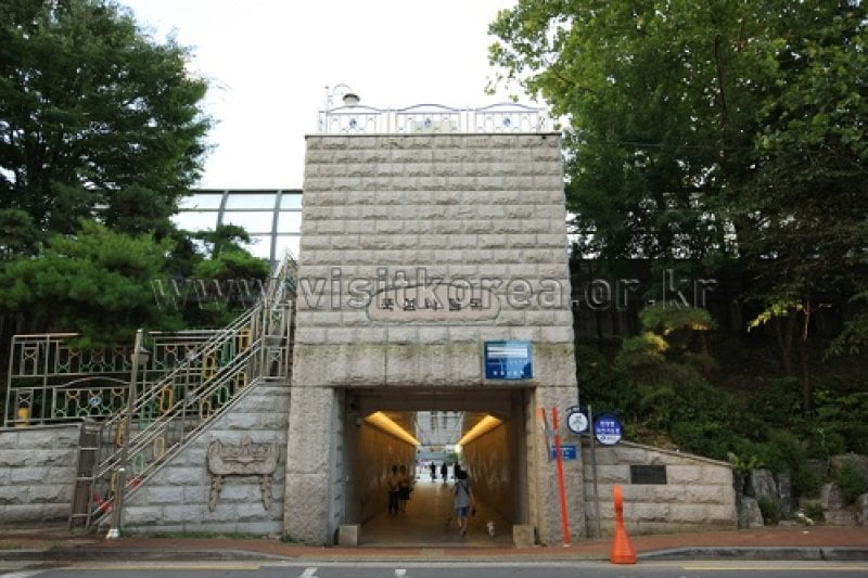 Ttukseom Hangang Park (21/30)