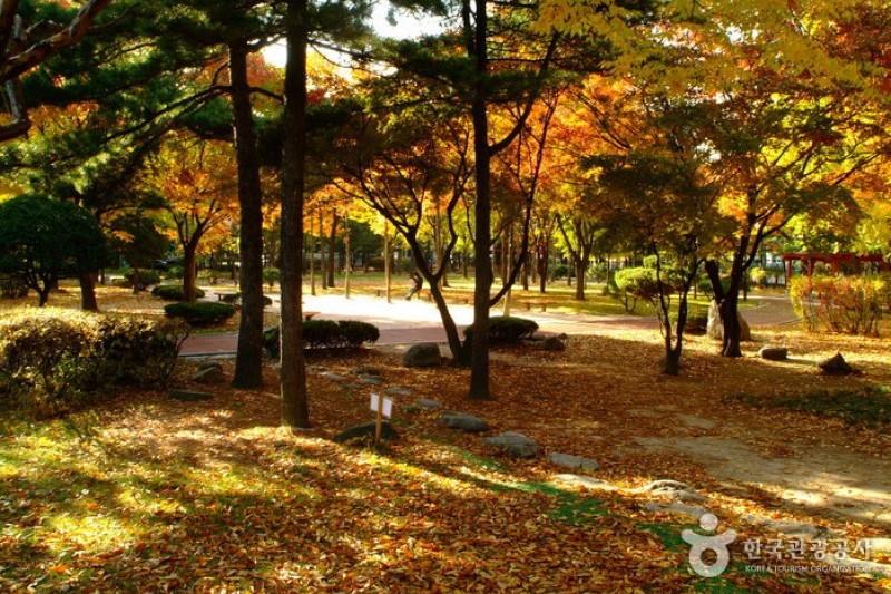 Dosan Park  (9/12)