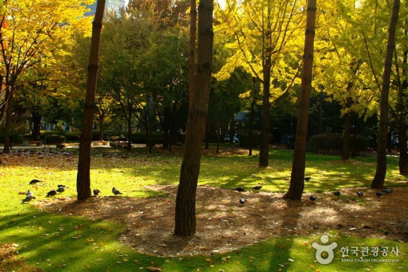 Dosan Park  (11/12)
