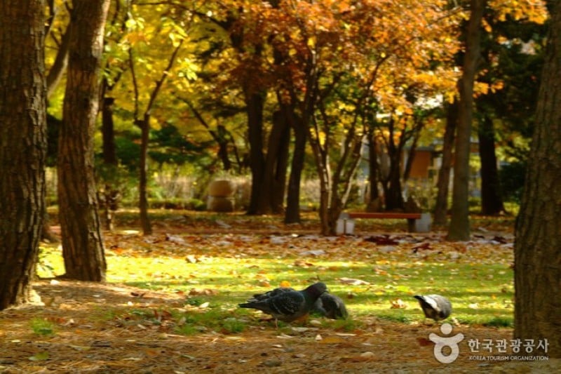 Dosan Park  (12/12)