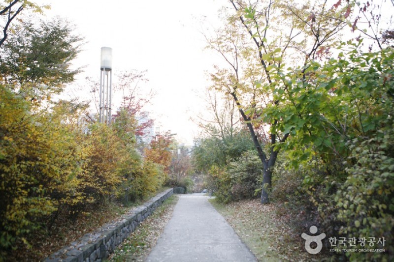 Yongsan Family Park  (4/5)