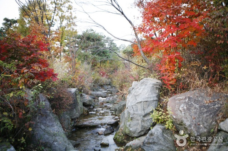 Yongsan Family Park  (5/5)