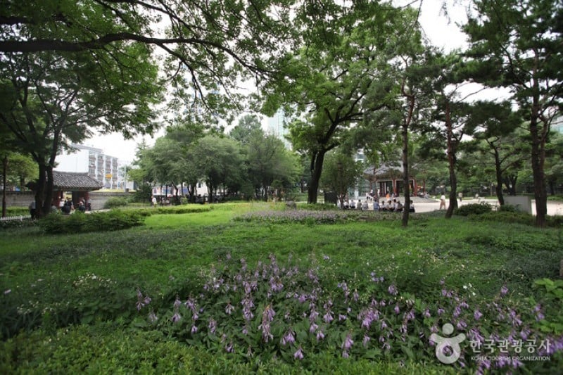Tapgol Park  (6/6)