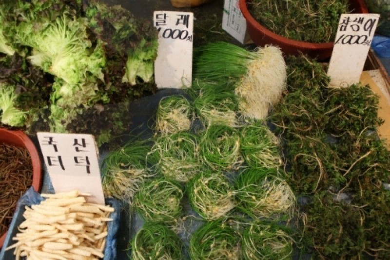 Seoul Gyeongdong Market  (4/7)