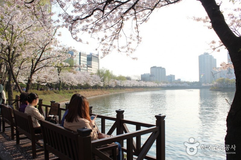 Songpa Naru Park  (6/18)