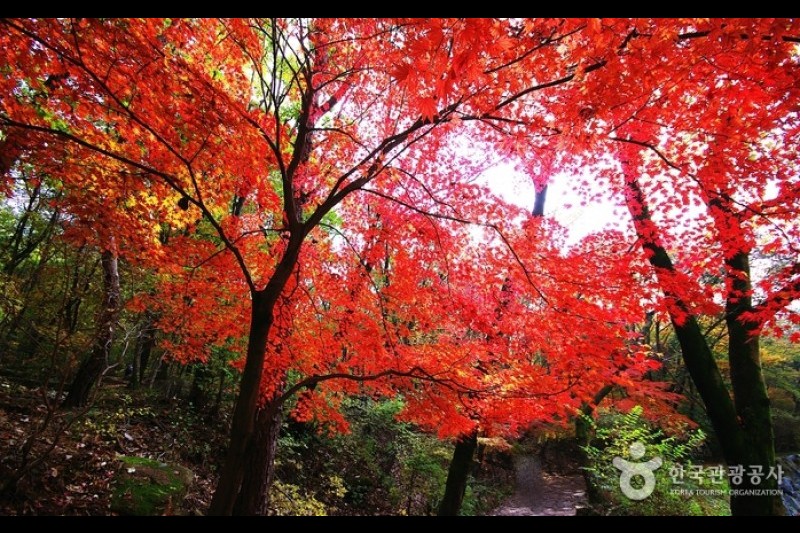 Gwanaksan Mountain  (1/7)