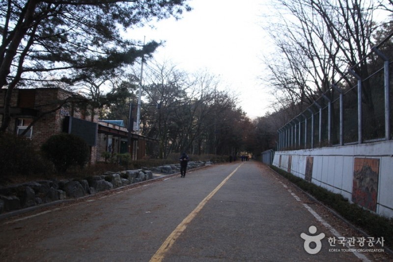 Gwanaksan Mountain  (6/7)