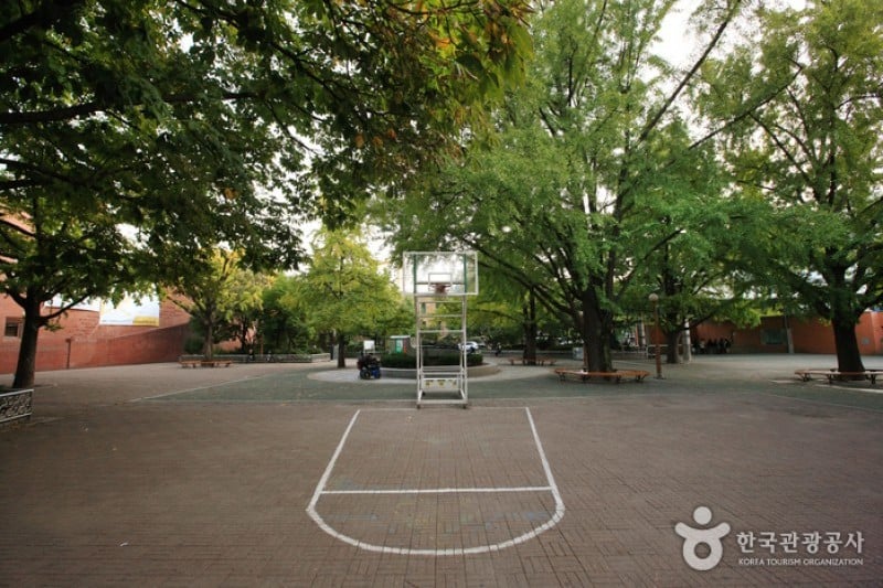 Marronnier Park  (1/18)