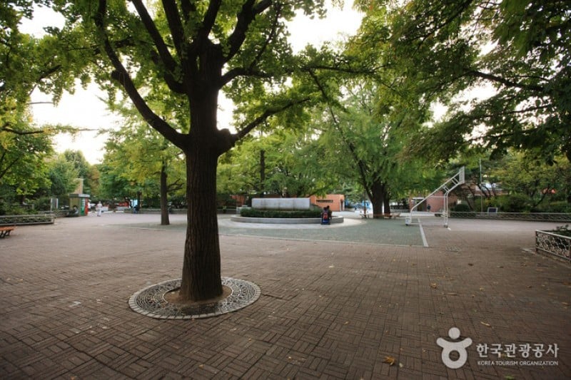 Marronnier Park  (2/18)