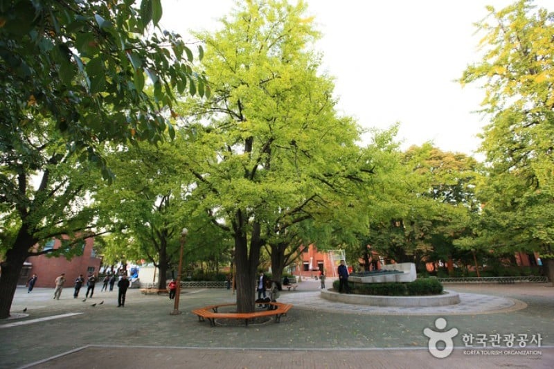 Marronnier Park  (5/18)
