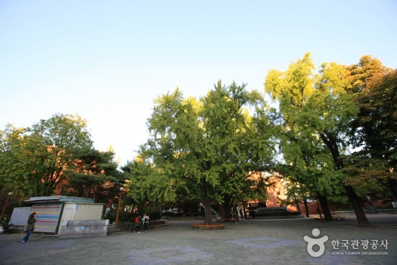 Marronnier Park  (8/18)