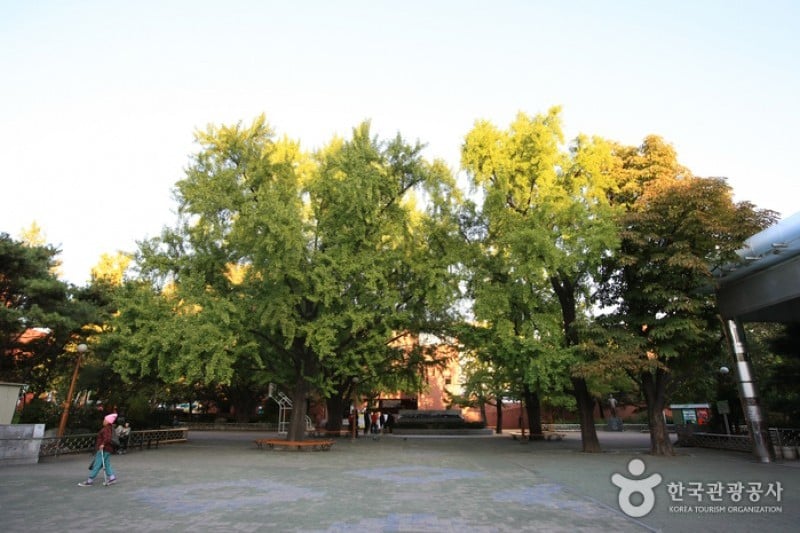 Marronnier Park  (9/18)
