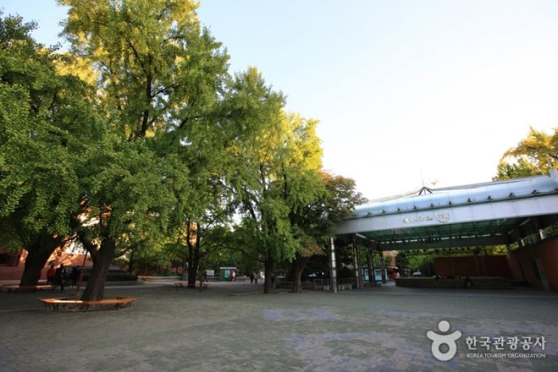 Marronnier Park  (10/18)