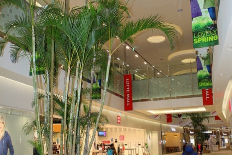 Lotte Mall - Gimpo Airport Branch  (1/6)