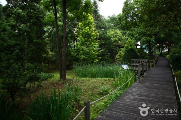 Hongneung Arboretum