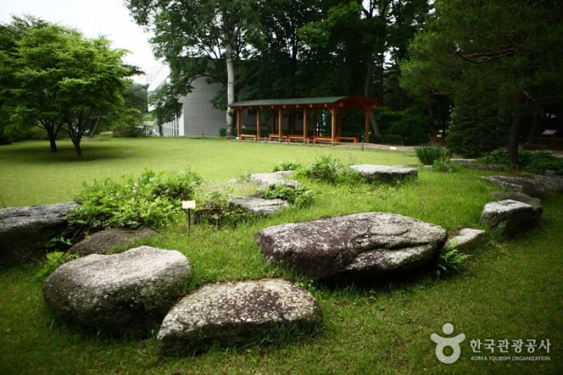 Hongneung Arboretum  (1/5)