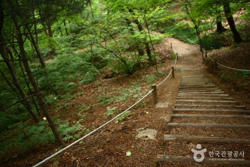 Hongneung Arboretum  (3/5)
