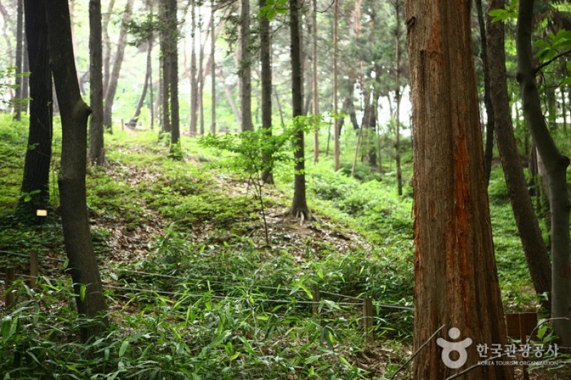 Hongneung Arboretum  (4/5)