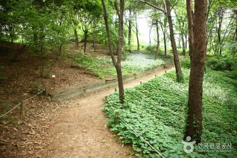 Hongneung Arboretum  (5/5)