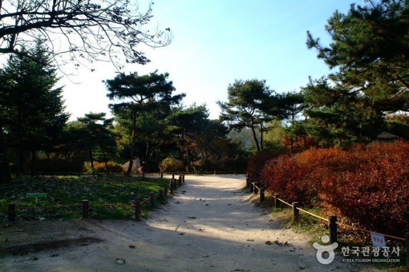 Amsa-dong Prehistoric Settlement Site  (9/12)