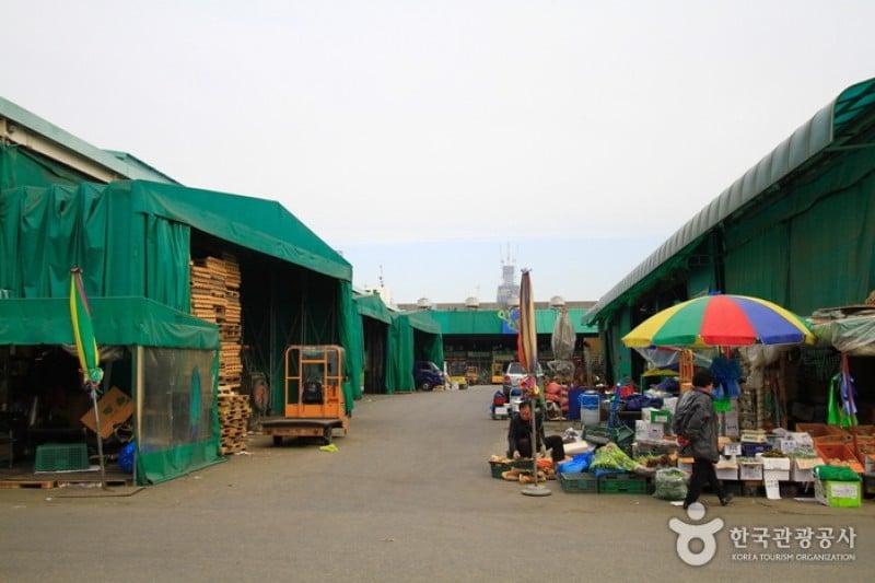Garak Market  (2/19)