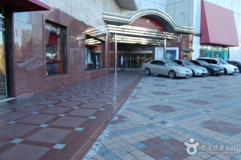 Lotte Hotel World  (1/18)