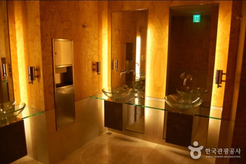 Lotte Hotel World  (9/18)