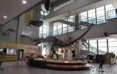 Seodaemun Museum of Natural History 