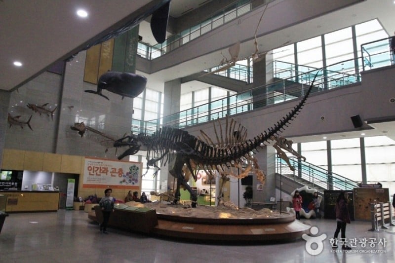 Seodaemun Museum of Natural History  (2/4)
