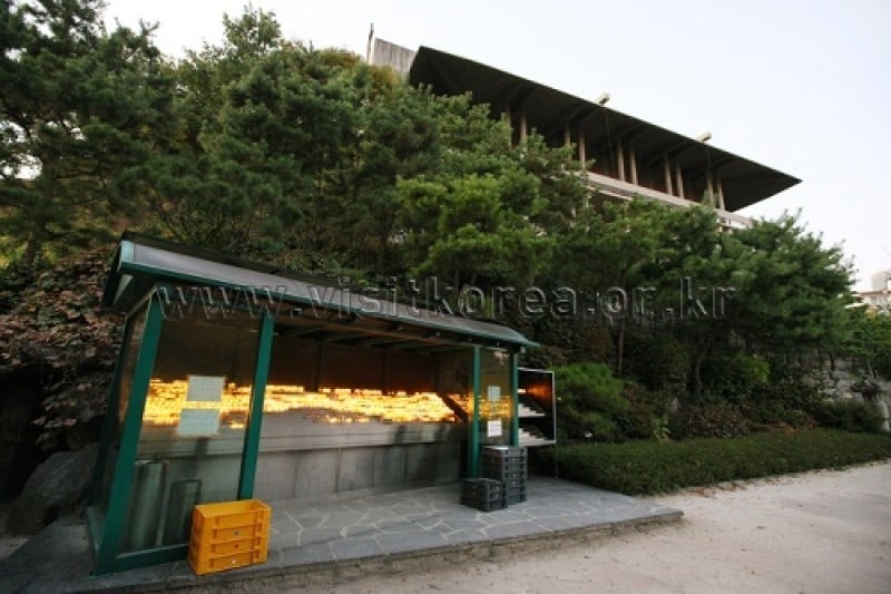 Jeoldusan Martyrs Grounds  (12/18)