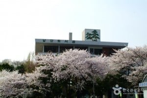 Namsan Library 