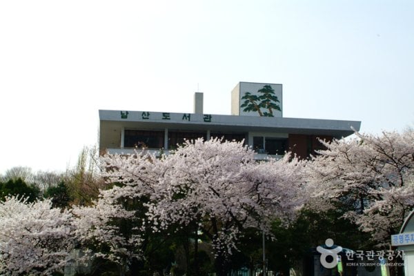 Namsan Library