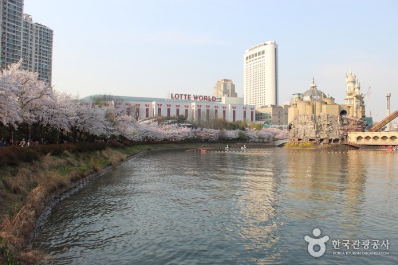 Seokchon Lake Cherry Blossom Festival  (7/8)