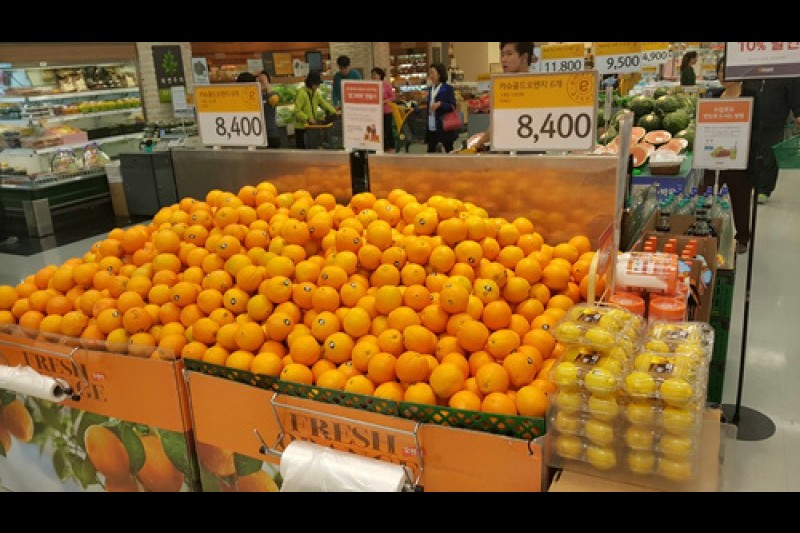 E-mart - Wangsimni Branch  (6/11)