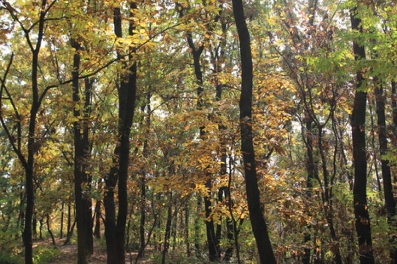 Dobongsan Mountain  (1/4)