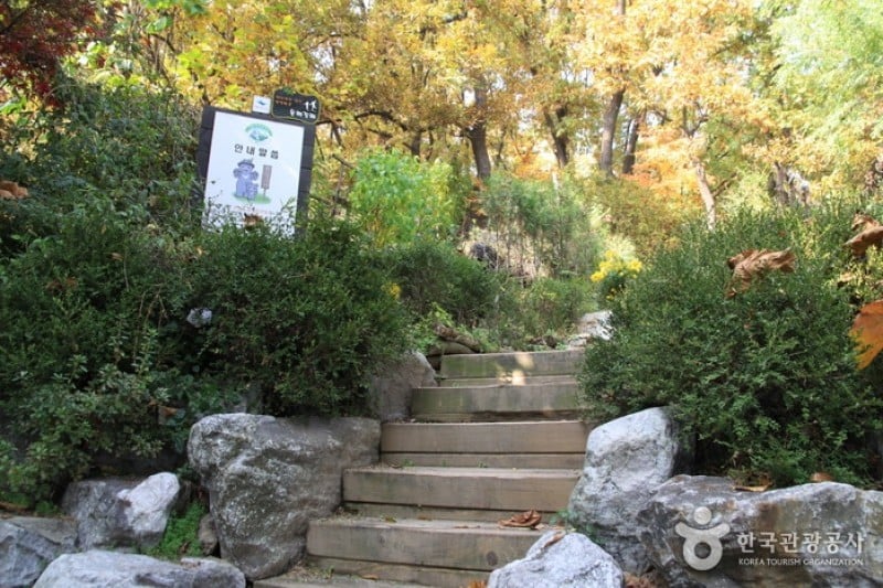 Dobongsan Mountain  (2/4)