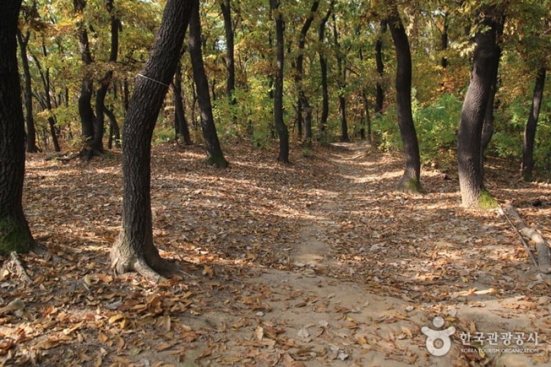 Dobongsan Mountain  (3/4)