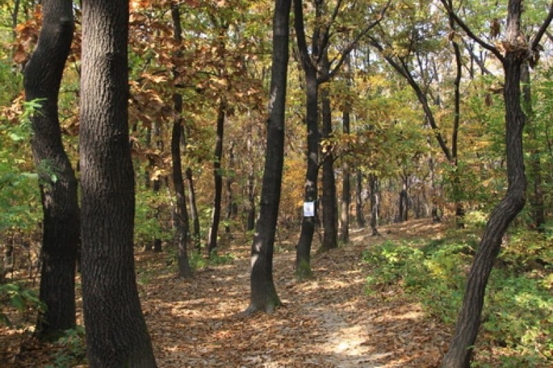 Dobongsan Mountain  (4/4)