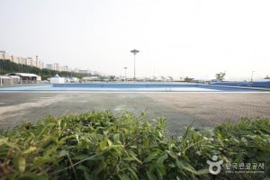 Jamwon Hangang Park 