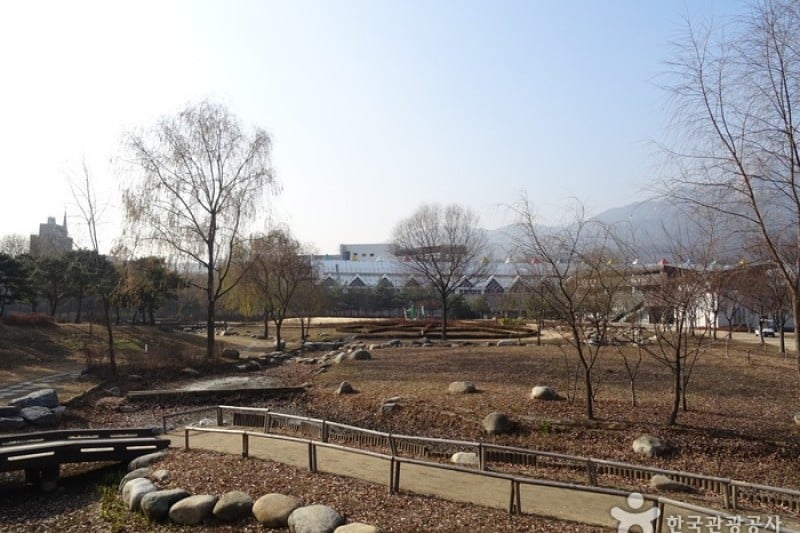 Seoul Iris Garden 
