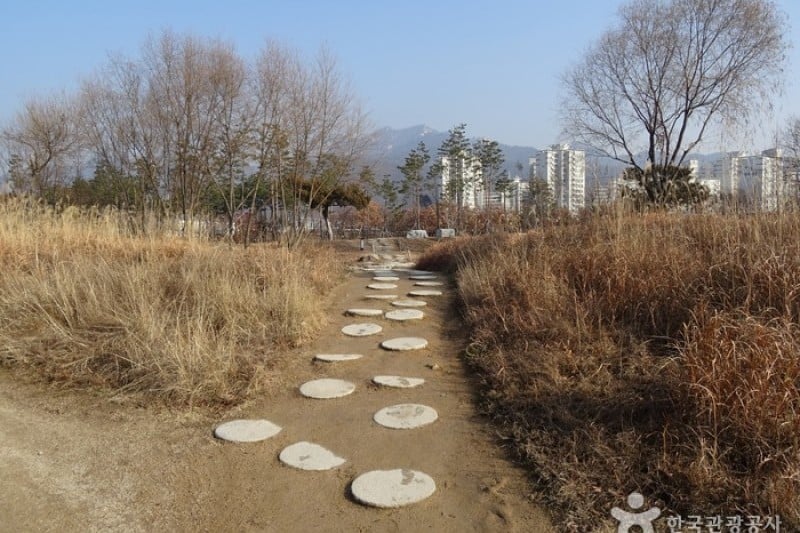 Seoul Iris Garden 