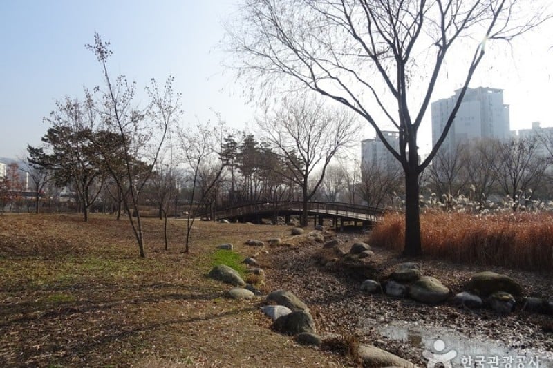 Seoul Iris Garden 