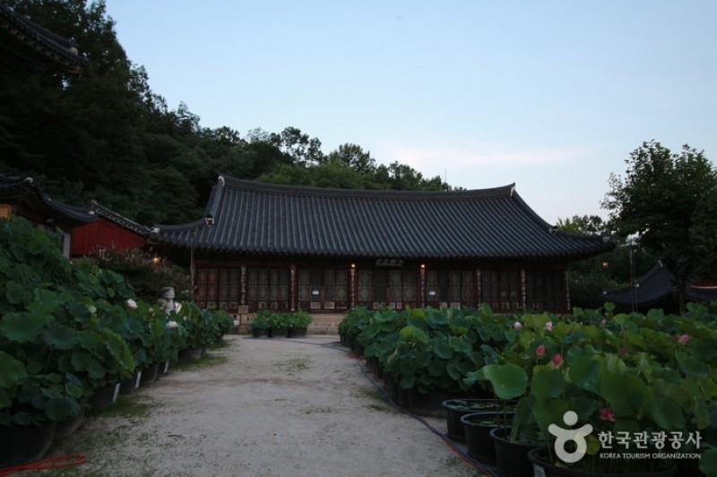 Bongwonsa Temple  (4/8)