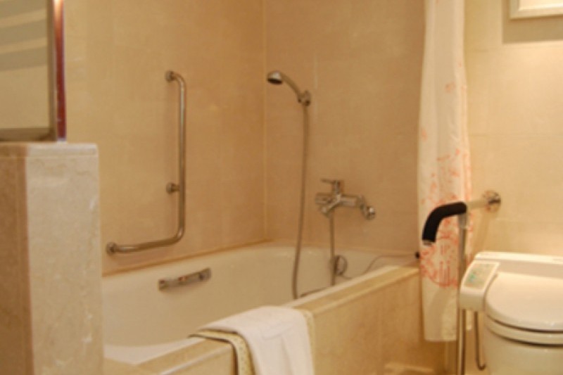 Seoul Royal Hotel  (13/34)