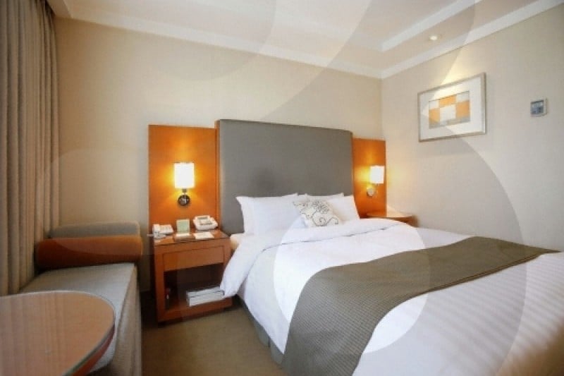 Seoul Royal Hotel  (18/34)