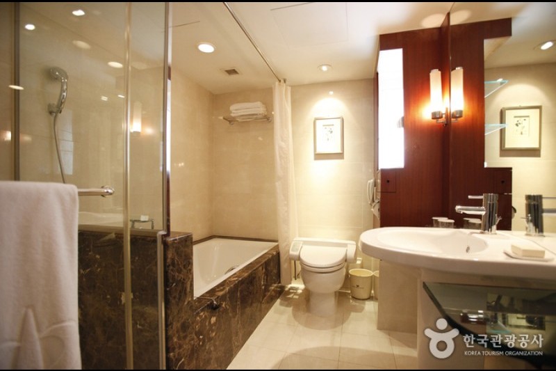 Seoul Royal Hotel  (34/34)