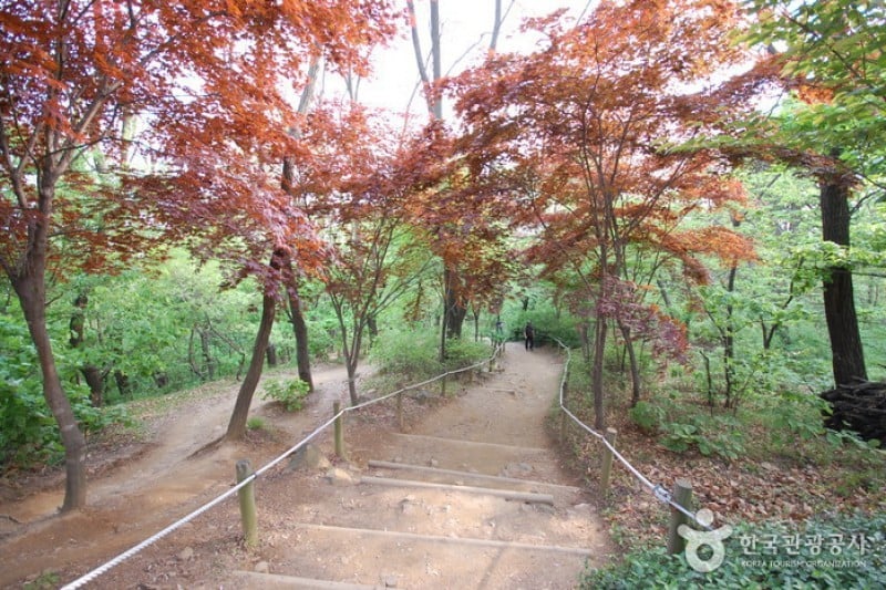 Achasanseong Fortress  (4/6)