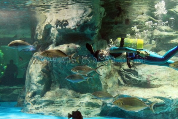 63 Sea World